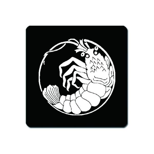 ƖR[X^[ 䍕n ɐCV̊ 11cm x 11cm KC11-0025W