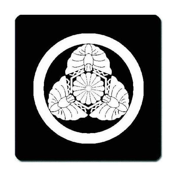 紋白蝶 pc-supply_ks24k-0927w