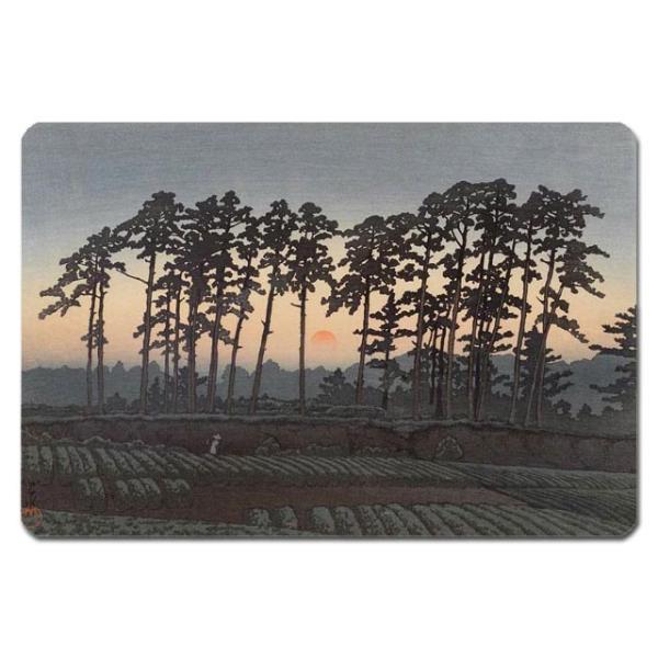 GV[ 쐣b:rsVqi[zj 133x88mm U133S-12011 ()