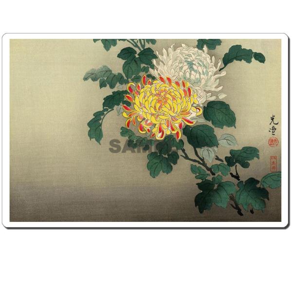 }EXpbh IWi G G}EXpbh ҂ U14004 y - e