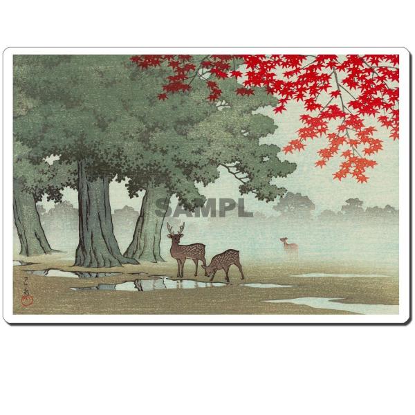 GV[ 쐣b:ޗǌ 245x166mm U245S-12013 ()