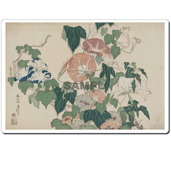 GV[ k:ɉJ^ 245x166mm U245S-4019 ()