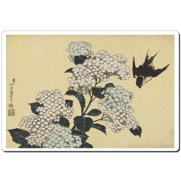 }EXpbh IWi G G}EXpbh ҂ U4007 k - zԂɉ