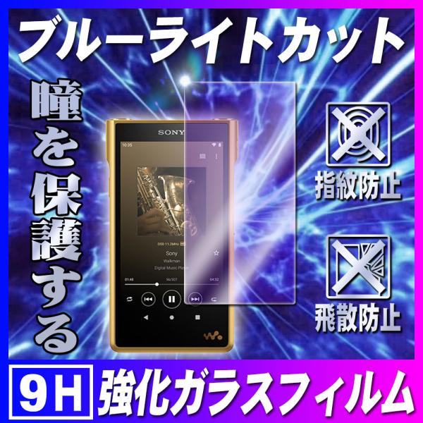 Sony WM1シリーズ ウォークマン NW-WM1ZM2 ブルーライトカット ガラスフィルム 保護フィルム 耐指紋 撥油性 表面硬度 9H 0.3mmガラス 2.5D ラウンドエッジ