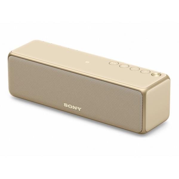 スピーカー SRS-HG10 N SONY ソニー 防水 ハイレゾ対応ワイヤレスポータブルスピーカー