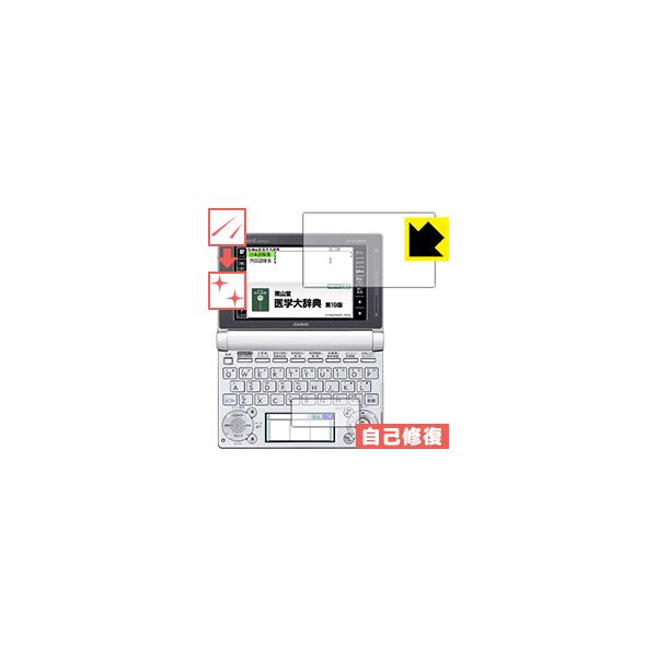 JVIdq EX-word XD-DV[Y RɕtĂ܂XCIیtB LYȏC