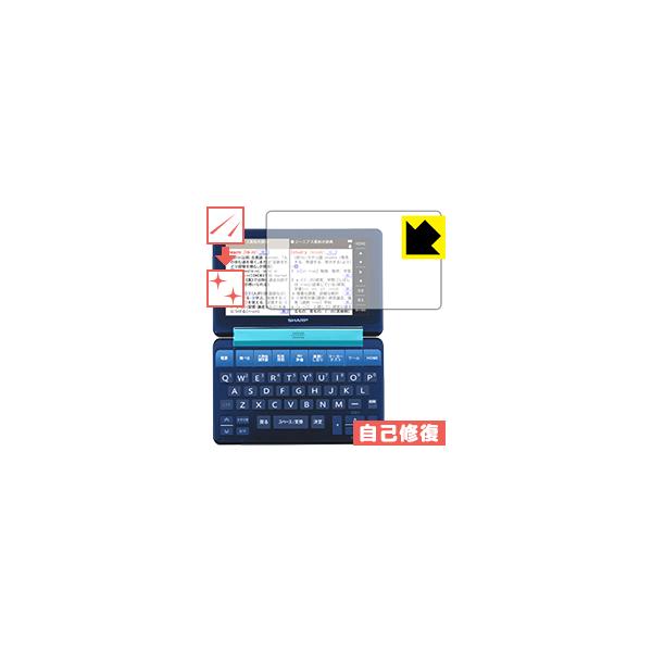 V[vdq Brain PW-SB2/PW-SA2/PW-SH2/PW-SJ2 RɕtĂ܂XCIیtB LYȏC