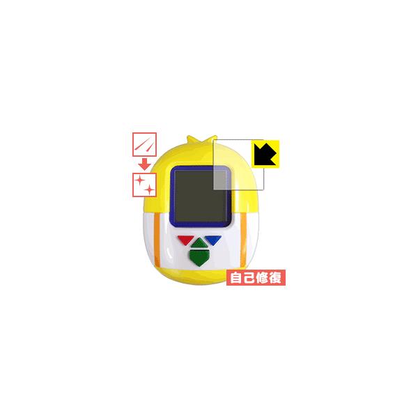 100%pXJ搶 (p[tFNg)XLi[p یtB LYȏC