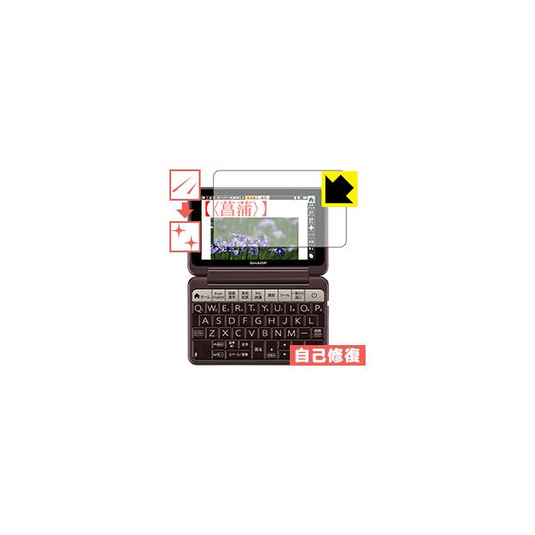 V[vdq Brain PW-AA1/PW-AJ1 RɕtĂ܂XCIیtB LYȏC