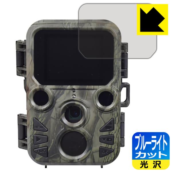 ԊOlBeJE~j STR-MiNi300 LEDtʂ̃u[Cg35%JbgIیtB u[CgJbgyz