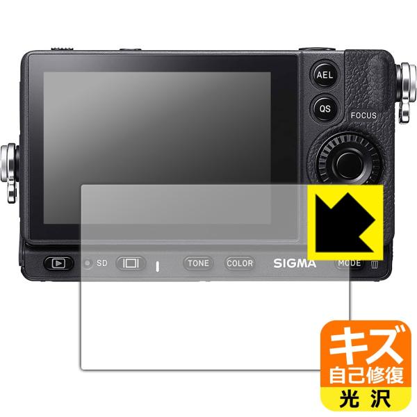 SIGMA fp L / fp RɕtĂ܂XCIیtB LYȏC