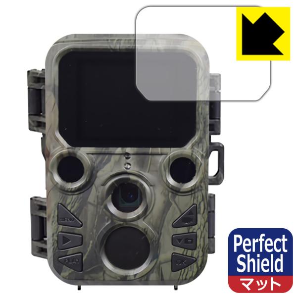 ԊOlBeJE~j STR-MiNi300 hCAEhw!˒ጸیtB Perfect Shield