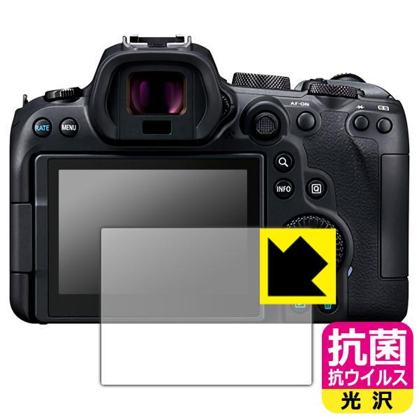 Canon EOS R7 / R6 / R6 Mark II ې\ԎI R RECXyzیtB