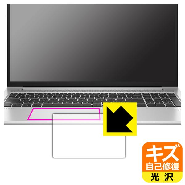 HP ProBook 450 G8Ή LYȏC ی tB [NbNpbhp]  {