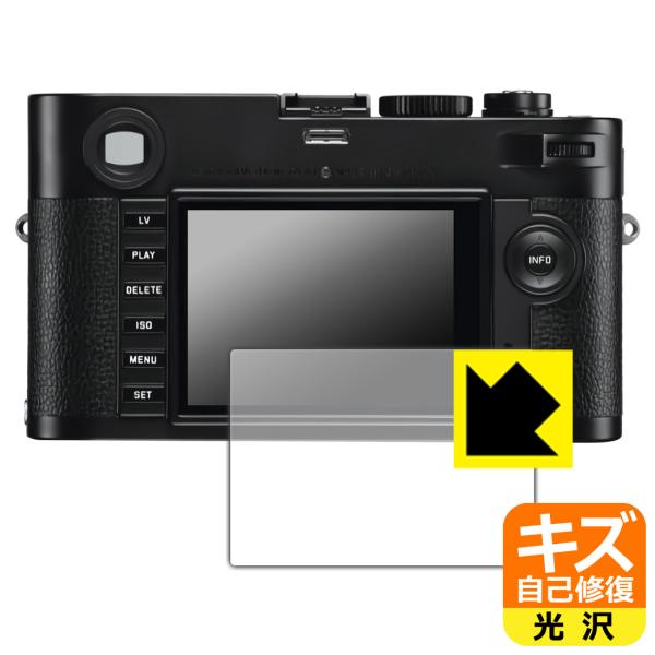 LEICA M Monochrom (Typ246) レビュー | ライカカタログ | アトリエライカ