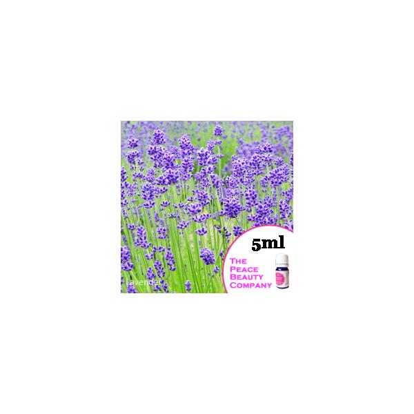 真正ラベンダー 精油／ 5ml／エッセンシャルオイル／アロマオイル