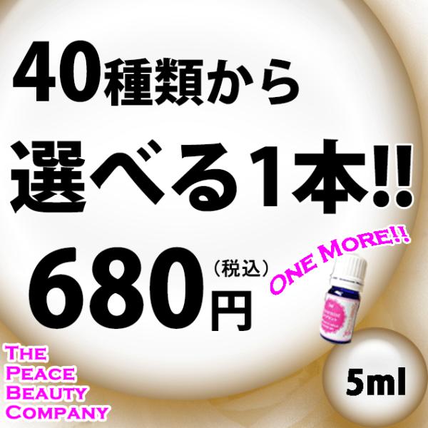 40種類から選べる１本 5ml