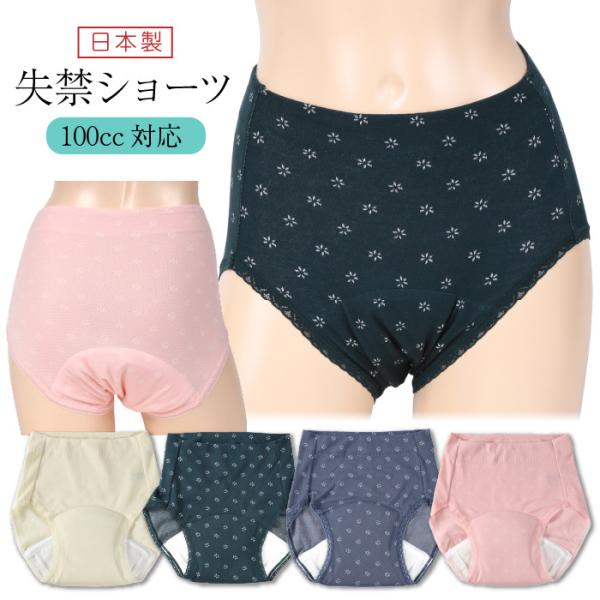 փV[c 100ccΉ WK[h Ap 100ccΉ fB[X pc h z d p