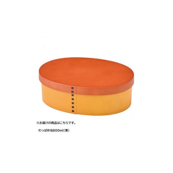 ZgNtg ϕٓ 800 I SK-0007