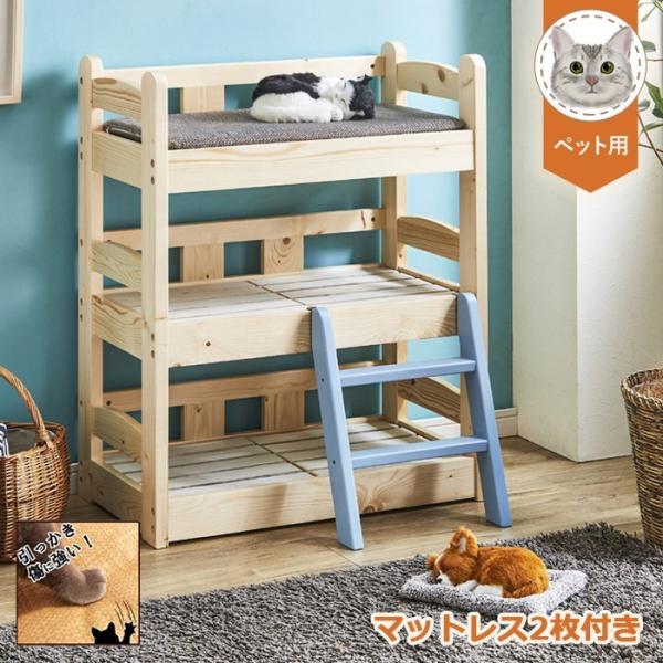 j P5% ybg xbh 3ixbh    L  ybgƋ