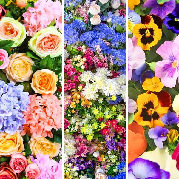 ㋉ t _ChA[g Lbg r[YhJ t[EH[ Ԕ A[eBVt UCNA[g pYA[g nr  G nhCh