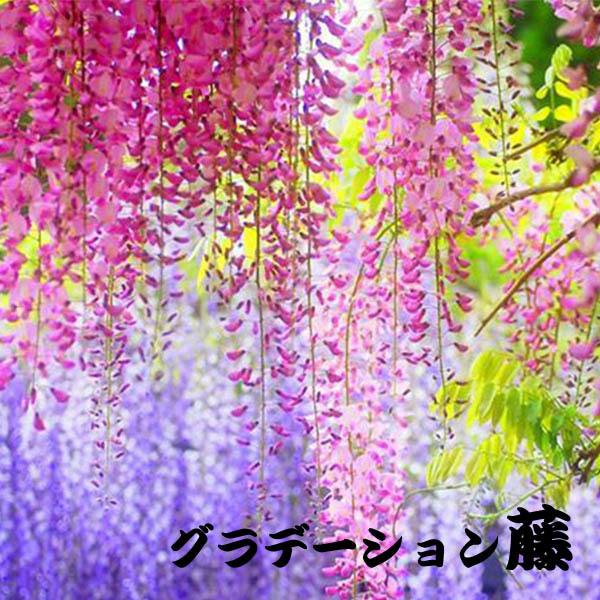 全長110cm 6本セット ガーランド 藤 ふじの花 フェイクグリーン