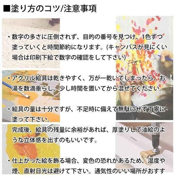 数字塗り絵 油絵風 シンデレラ城 おとぎ話 大人の塗り絵 フレーム絵画 インテリア 風景 Diy 趣味 ぬり絵 ホビー ナンバーピクチャー Buyee Buyee 日本の通販商品 オークションの代理入札 代理購入