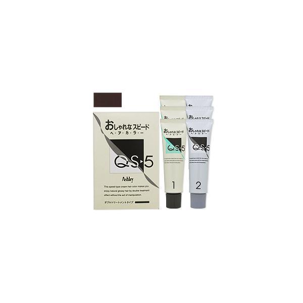 hoyu　ホーユープロフェッショナル　アシュレー QS-5　CQ-3ダークチェスナット　業務用　(1剤/50g×3、2剤/50g×3)×6点セット hoyu（ホーユー） アシュレー QS-5 業務用Eパック CQ-3ダークチェス