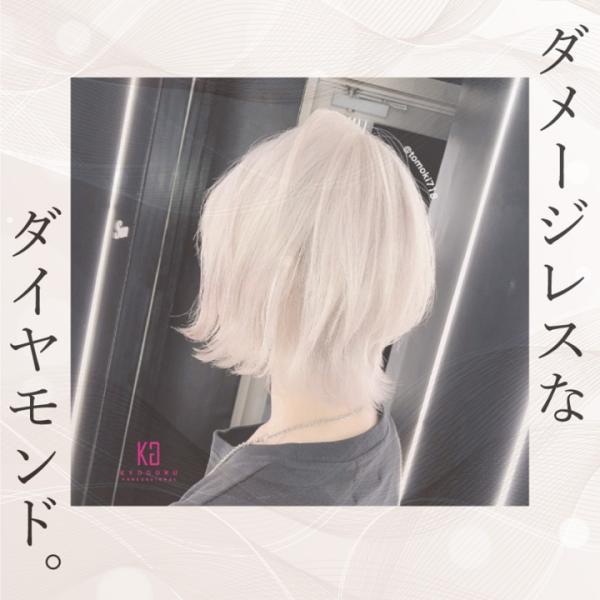公式 【 KYOGOKU IROME イロミー Silver Collection 】 ヘアカラー剤 80g ブリーチオンカラー 1剤 カラーリング セルフカラー 美容室専売 医薬部外品 KG 京極