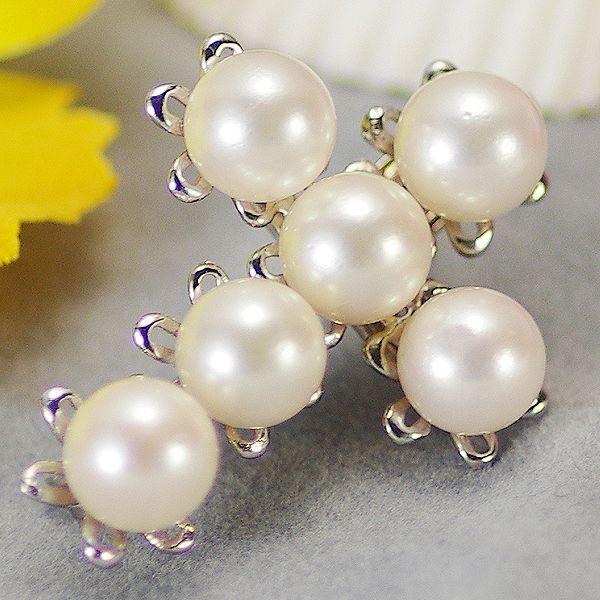 p[ u[`  W^ u[` 6.0-6.5mm Vo[ SV y_gp NX`[t  Ǝ w ̓