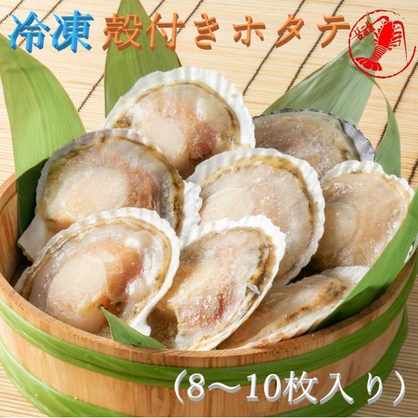 ✰✰スキャロップパール (天然帆立貝から希少な大きなパール)、鑑定書付き スキャロップパール (天然帆立貝から希少な大きなパール)、鑑定