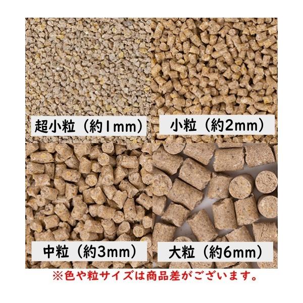 pearly_4972228232326_1