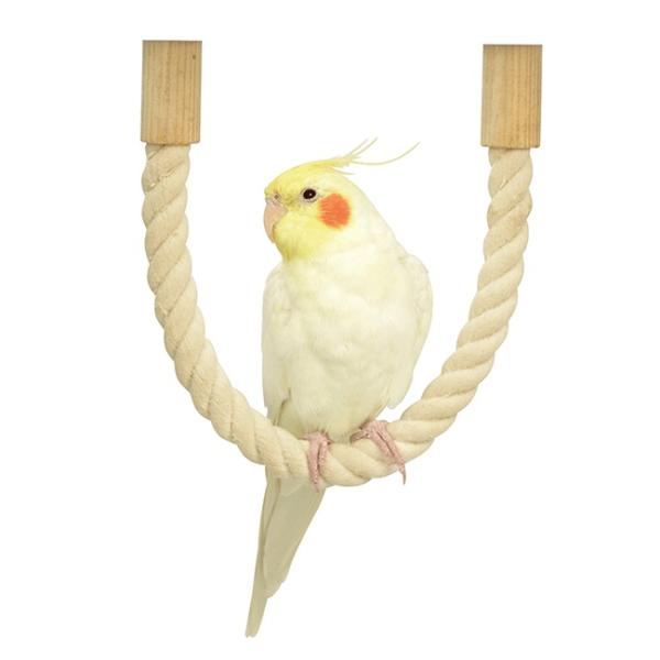 自在に曲がるコットン製ロープのパーチ。自由に足場の形が変えられるので飼育環境に合わせてセッティング！たくさんの凹凸が足裏に心地よい刺激も。サイズ・ ロープ長(木部含む)：約40cm・ ロープ直径：約16mm※付属品：固定金具2個