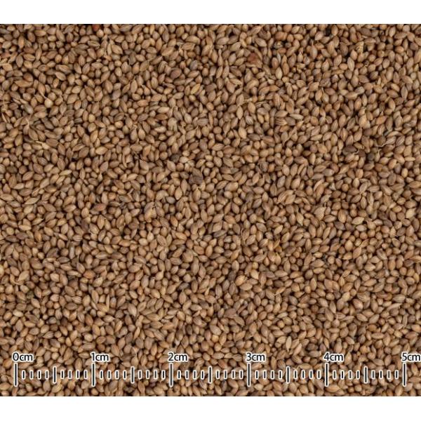 黒瀬ペットフード 皮つきフォニオ 30g フォニオパディ アミノ酸