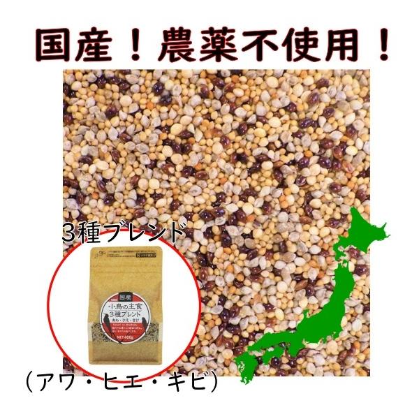 他サイト： 【国産 農薬不使用】小鳥の主食 3種ブレンド 400g（アワ・ヒエ・キビ）黒瀬ペットフード シードミックス カナリーシードなし 配合 インコ 種 鳥 無農薬 餌の商品画像