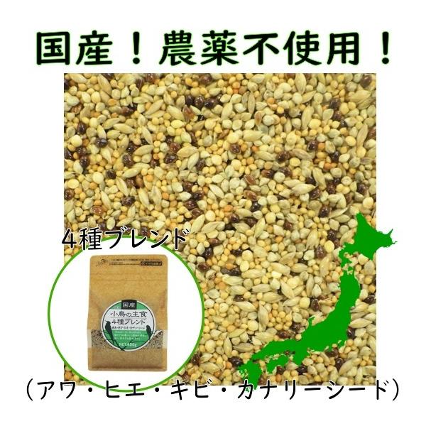 農薬不使用〜にこファーム〜ページ 京都で有機農法・自然農法による野菜作りと生産技術開発 | 株式