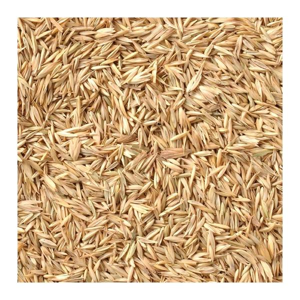 アメリカ産！ダイエットやおやつに最適なヘルシーなシード！アメリカで育った牧草(オーチャードグラス)の種です。粒は小さく、体の小さな小鳥も喜んで食べます。ドイツでは小鳥のダイエット食としても知られているヘルシーな種です。■与え方ダイエット食と...