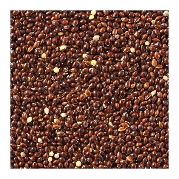 国内で農薬を使用せず栽培・収穫された黍です。ビタミン、ミネラルのバランスに優れた穀物です。小鳥が喜ぶ皮付きタイプです。産地：北海道 ※収穫状況により産地が変わる場合がございます。（種子、種餌、有機栽培、オーガニック、日本産、国内産、セキセイ...