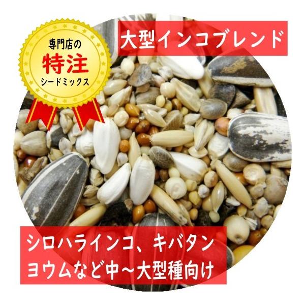 無添加！防腐剤未使用！高品質！特注配合！当店オリジナルオーダーのシードミックス（種餌）です。穀物より種子の割合が多い、中〜大型インコ向けミックスです。※脱酸素パックにてお届け致します。【対応鳥種(目安)】シロハラインコ、ズグロシロハラ、アケ...