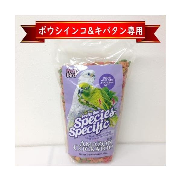 キバタン&ボウシインコ専用】プリティバード/Pretty Bird