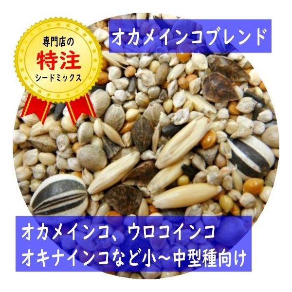 【当店オリジナルシードミックス】オカメインコブレンド お試し 40g ウロコインコ オキナインコ コザクラインコ ボタンインコ 餌 種 シード 鳥 少量