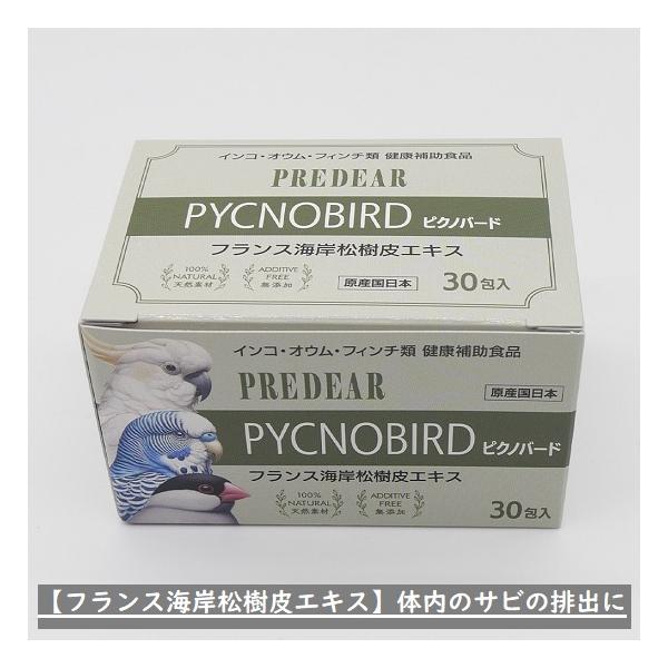 幼鳥、病鳥、老鳥3（スリー）セット♪