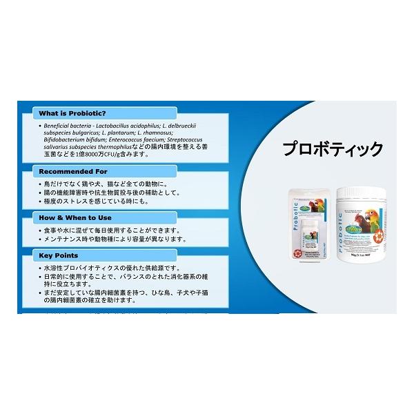 ベタファーム　プロボティック 90g 2つ V プロボティック 各サイズ | こんぱまるオンライン