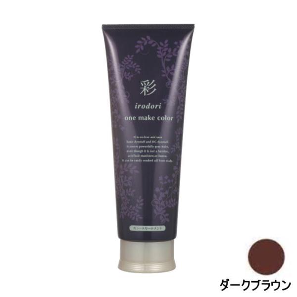 イリヤ 彩 ONEメイクカラー ダークブラウン 250g : PECHKA - 通販