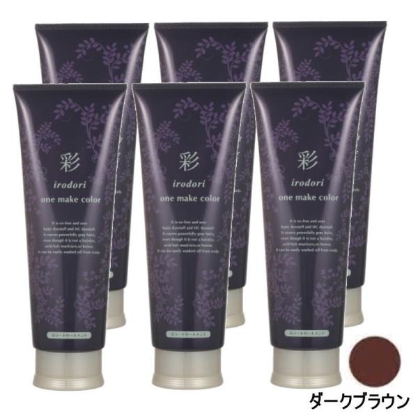 イリヤ 彩 ONEメイクカラー ダークブラウン 250g×6点セット イリヤ 彩 ONEメイクカラー ダークブラウン 250g×6点セット : PECHKA