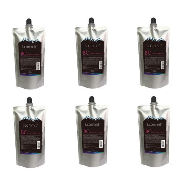 ALPSion　i.commit　アイコミット バランシングチャージ　500g【×3点セット】 ALPSion i.commit アイコミット バランシングチャージ 500g×6点セット