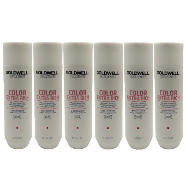 ゴールドウェル デュアルセンス　カラーエクストラリッチ　シャンプー　250ml【6個セット】 ゴールドウェル デュアルセンス カラーエクストラリッチ シャンプー