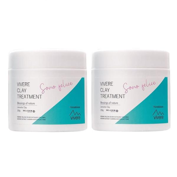 千代田化学 デラクシオ ヴィーヴェレ クレイ トリートメント 200g×2点