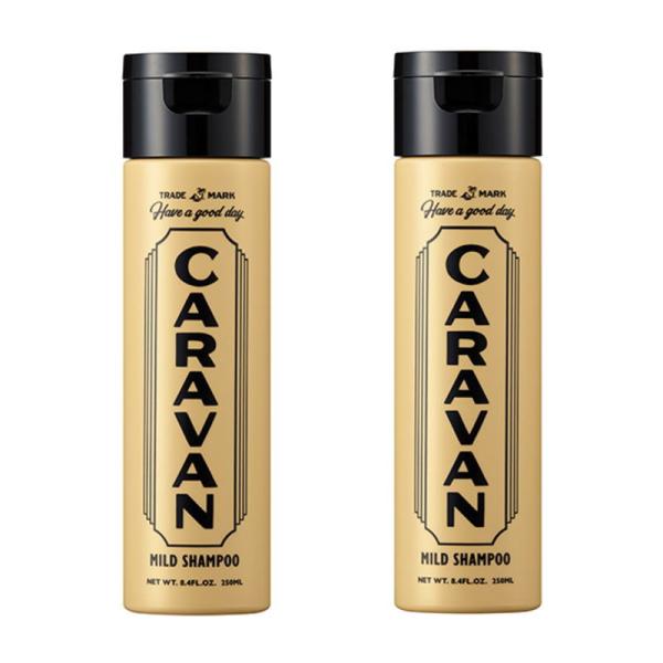デミ　キャラバン　マイルドシャンプー　250ml【6個セット】 デミ キャラバン マイルドシャンプー 250ml2個セット : PECHKA - 通販