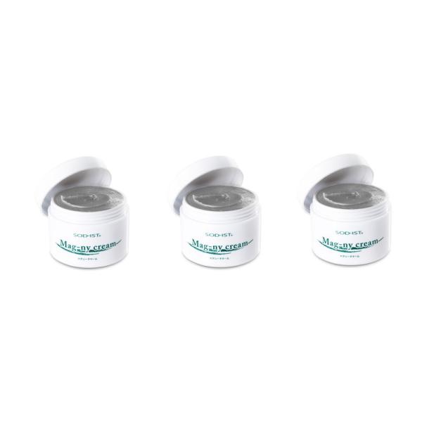 丹羽メディカル研究所 マグニークリーム 110g 【3点セット】 丹羽メディカル研究所 マグニークリーム 110g 3点セット : PECHKA
